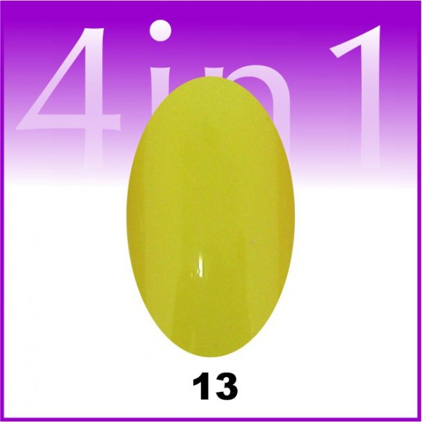 Gel color One Stroke 4 in 1 #13